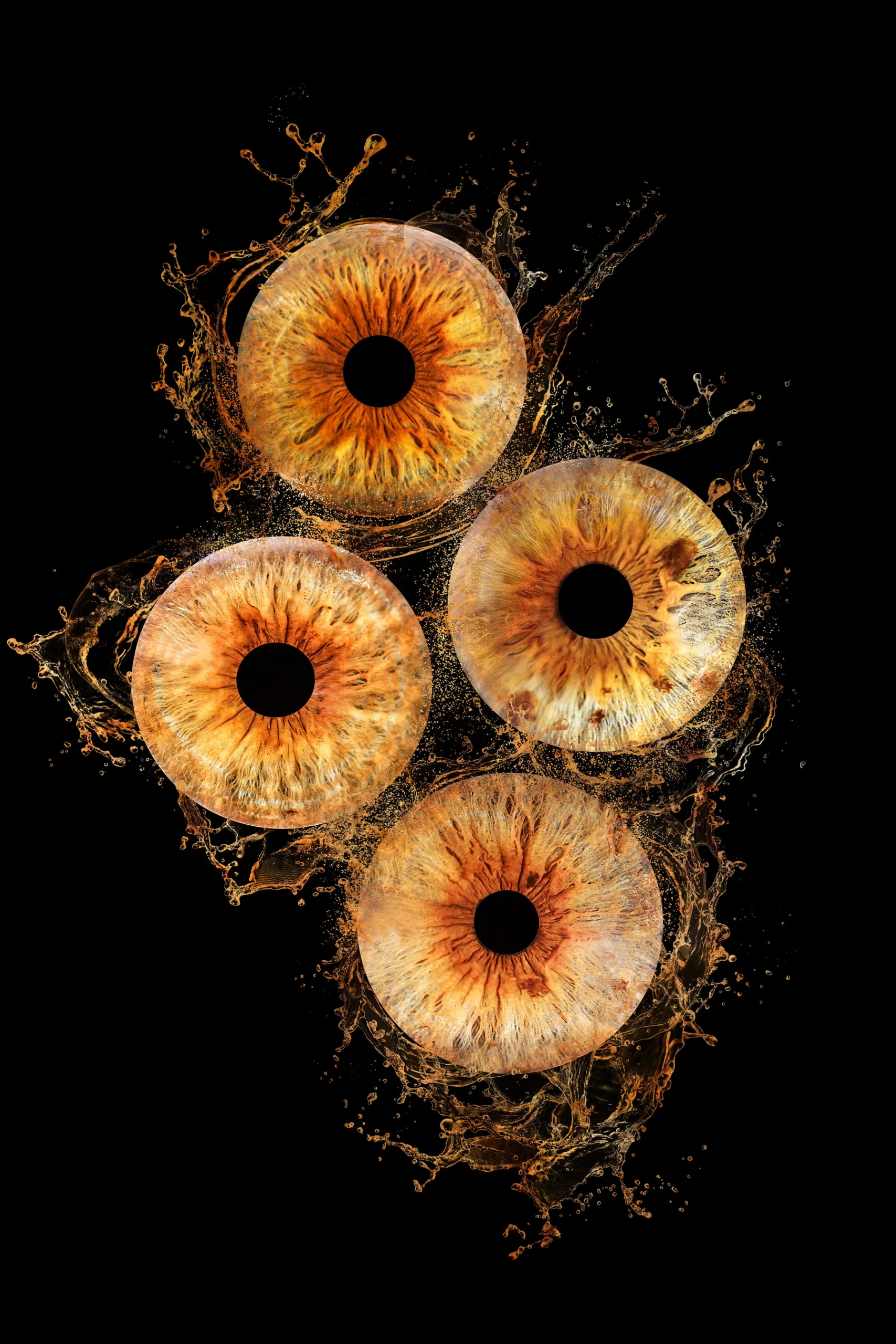 Photo Iris Oise Iris Detail