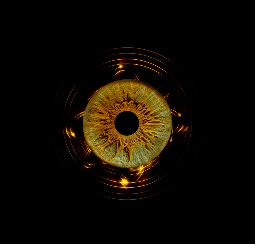 Photo Iris Oise Oeuvre Artistique